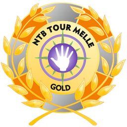 Gold Award